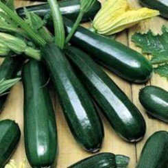 Цыганок семян цуккини (Яркая)