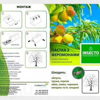 Східна плодожерка феромонна пастка (БІОхімтех)