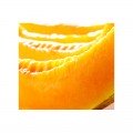 ЮГ 160 F1 семена дыни (United Genetics)