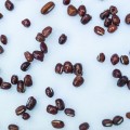 Адзуки семена микрозеленые (Agrocity)