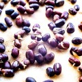 Адзуки семена микрозеленые (Agrocity)