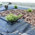 Агроволокно черное для мульчирования (плотность 100г/м2) (Agreen)