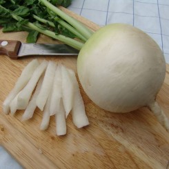Акорд насіння редьки (Moravoseed)