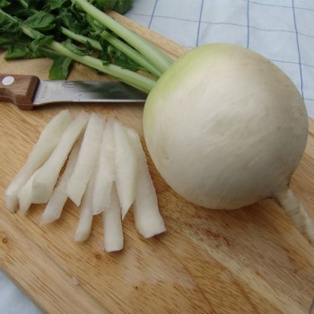Аккорд семян редьки (Moravoseed)