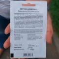 Алдерман семена петунии (Hem Zaden)