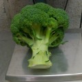 Бакано F1 (Громовой Купол F1 CMS) семена капусты брокколи (Takii Seeds)