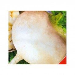 Белая ночь семена репы (GL Seeds) Белая ночь семена репы (GL Seeds)