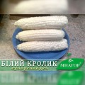 Белый кролик F1 семена кукурузы суперсладкой Sh2 (Мнагор)