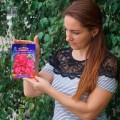 Чатерз Стрейн Пурпур семена мальвы (GL Seeds)