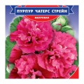 Чатерз Стрейн Пурпур семена мальвы (GL Seeds)