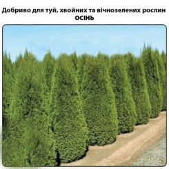 Для туй, хвойних та вічнозелених рослин ОСІНЬ мінеральне добриво (Деметра)