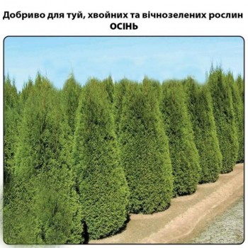 Для туй, хвойных и вечнозеленых растений ОСЕНЬ минеральное удобрение (Деметра) Для туй, хвойных и вечнозеленых растений ОСЕНЬ минеральное удобрение (Деметра)
