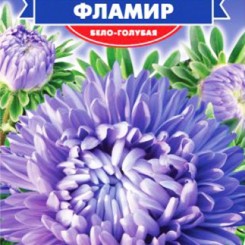 Фламир бело-голубых семян астры пионообразной (GL Seeds)