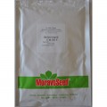 Голет семян лука порей (Moravoseed)