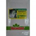 Капитол F1 семена капусты пекинской (Moravoseed)