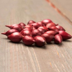 Кармен (10-21 мм) сіянка цибулі (TOP Onion Sets
