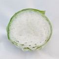 Киласис F1 семена капусты б/н средней 75-80 дн. 1,5-3 кг окр. (Syngenta)