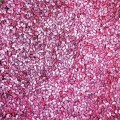 Кримсон Світ насіння кавуна середнього (Innova Seeds)