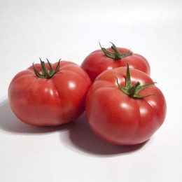 КС 1157 F1 (KS 1157 F1) семена томата раннего (Kitano Seeds)