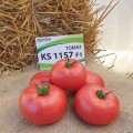 КС 1157 F1 (KS 1157 F1) семена томата раннего (Kitano Seeds)