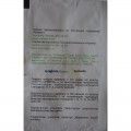 Мадам Purple (фиолетовая) семена вербены гибридной (Kitano Seeds)