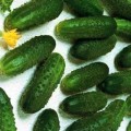 Маринда F1 семена огурца партенокарпического (Seminis)