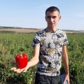 Менчул F1 семян перца сладкого (LibraSeeds)
