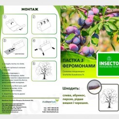 Плодожорка сливовая феромонная ловушка (БИОхимтех)