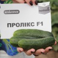 Проликс F1 семена огурца корнишона партенокарп. раннего 40-42 дн. 10-12 см (Nunhems)
