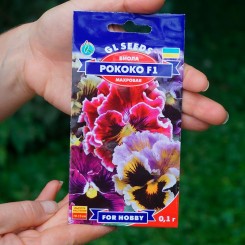 Рококо F1 семена виолы (GL Seeds)