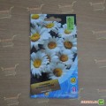 Ромашка крупноцветная белые семена (Moravoseed)