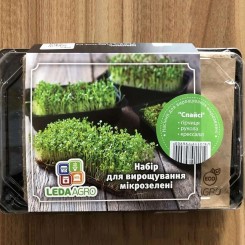 Спайси набор для выращивания микрозеленые (World of Seeds)