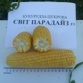 Мир Парадайз F1 семена кукурузы суперсладкой Sh2 (Lark Seeds)