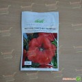 Танго F1 красная (red) семена петунии грандифлора (Hem Genetics)