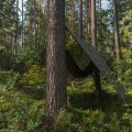 Тент тарпаулиновый CAMOforest 90 гр/м² камуфляж (Bradas)