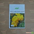 Тропик желтый (yellow) семена кроссандры (Pan American)