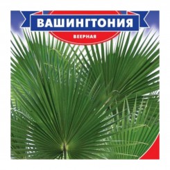 Вашингтония семян пальмы (GL Seeds)