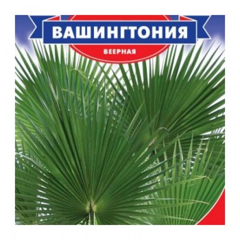 Вашингтония семян пальмы (GL Seeds)