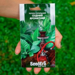 Восточный аромат семян курительного табака (Seedera)