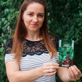 Восточный аромат семян курительного табака (Seedera) Восточный аромат семян курительного табака (Seedera)