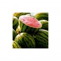 АУ Продюсер семян арбуза среднего (LibraSeeds)