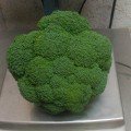 Бакано F1 (Громовий Купол F1 CMS) насіння капусти броколі (Takii Seeds)