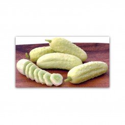Белый деликатес семян огурца пчелоопыляемого (GL Seeds)