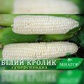Білий кролик F1 насіння кукурудзи суперсолодкої Sh2 (Мнагор)