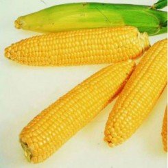 Брусниця насіння кукурудзи солодкої Se (Seedera)