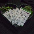 До овочевих салатів (5 урожаїв) набір насіння мікрозелений (Agrocity)