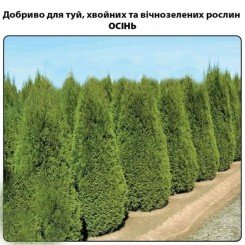 Для туй, хвойных и вечнозеленых растений ОСЕНЬ минеральное удобрение (Деметра)