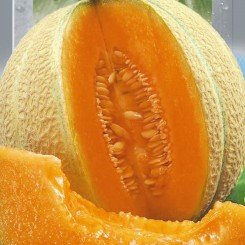 Эмир F1 семена дыни (Seedera)