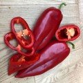 Фанат F1 насіння перцю солодкого (Lark Seeds)