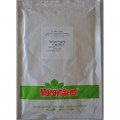 Голет насіння цибулі порей (Moravoseed)